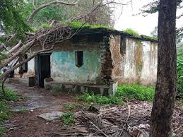 धमतरी में जर्जर मकानों की बढ़ती समस्या, नगर निगम ने 50 से अधिक भवनों को घोषित किया खतरनाक