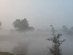 गौरेला-पेंड्रा मरवाही में कड़ाके की ठंड