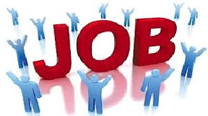 रायपुर में 12 नवम्बर को प्लेसमेंट कैंप — युवाओं के लिए रोजगार का सुनहरा मौका