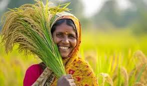 कृषि सखियों के प्रयास से गांवों का बदलाव — रसायन-मुक्त खेती की ओर बढ़ता छत्तीसगढ़