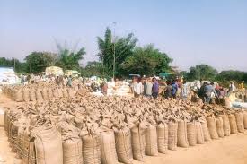 राज्य में धान खरीदी प्रक्रिया जारी — बड़ी मात्रा में खरीदारी और भुगतान