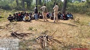 53 लोग गिरफ्तार — टाइगर रिज़र्व में पेड़ काटने के आरोप में