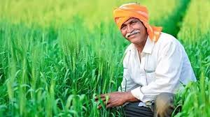 CG के किसानों के लिए नई सरकारी योजनाएँ जारी, कृषि और विकास कार्यों को मिली मंजूरी