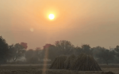 छत्तीसगढ़ में बदल सकता है मौसम का मिजाज, ठंड और घने कोहरे के आसार