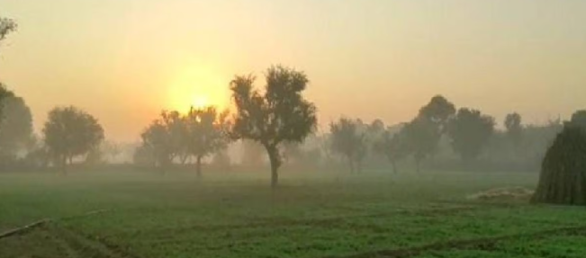 छत्तीसगढ़ मौसम अपडेट: ठंड से राहत के बाद बदला मिजाज, उत्तर इलाकों में बारिश और बिजली गिरने की संभावना