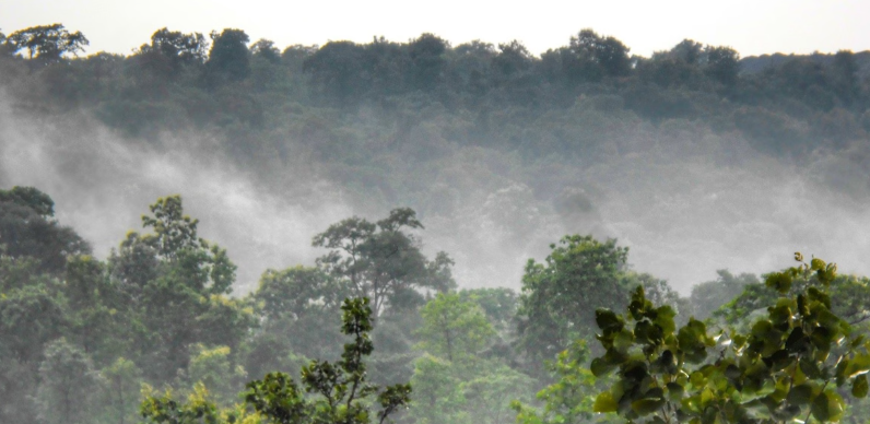CG Weather Update: छत्तीसगढ़ में ठंड का प्रभाव कम, गर्मी बढ़ी; 3 फरवरी को बारिश की संभावना