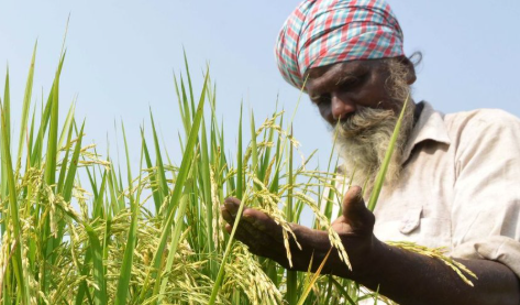रायपुर में संयुक्त किसान मोर्चा की बैठक आज, धान बोनस समेत कई मुद्दों पर चर्चा
