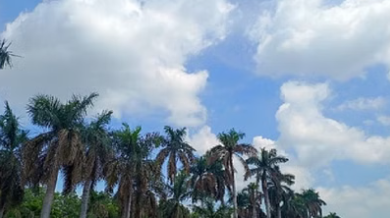 छत्तीसगढ़ में मौसम बदल रहा है – गर्मी तेज़ होगी