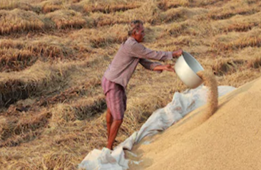 विधानसभा में धान खरीदी पर जोरदार हंगामा