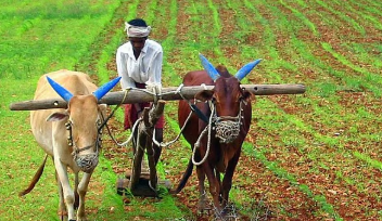 किसानों के लिए योजनाओं की समीक्षा: समर्थन मूल्य और सरकारी योजनाओं पर राज्य सरकार की बैठक